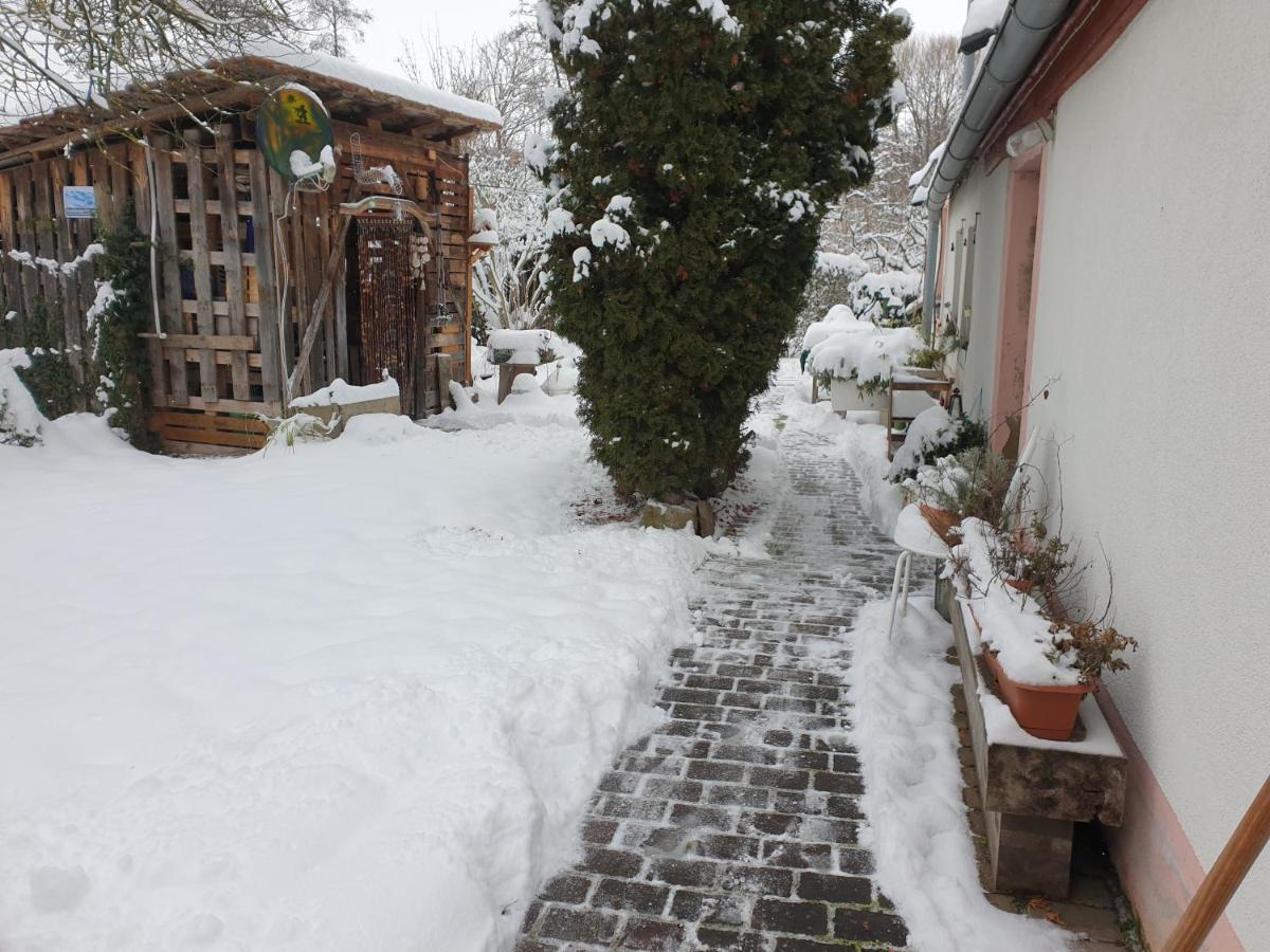 Unser Obervolkacher Ferienhaus-Einfach Gemutlich! エクステリア 写真