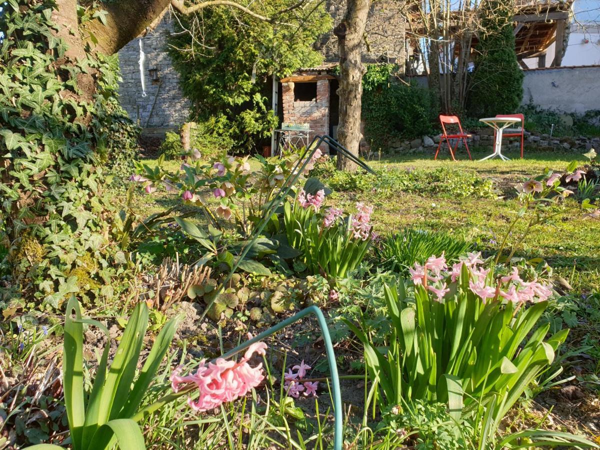 Unser Obervolkacher Ferienhaus-Einfach Gemutlich! エクステリア 写真