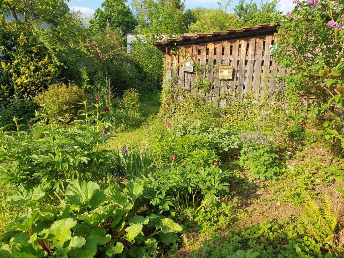 Unser Obervolkacher Ferienhaus-Einfach Gemutlich! エクステリア 写真