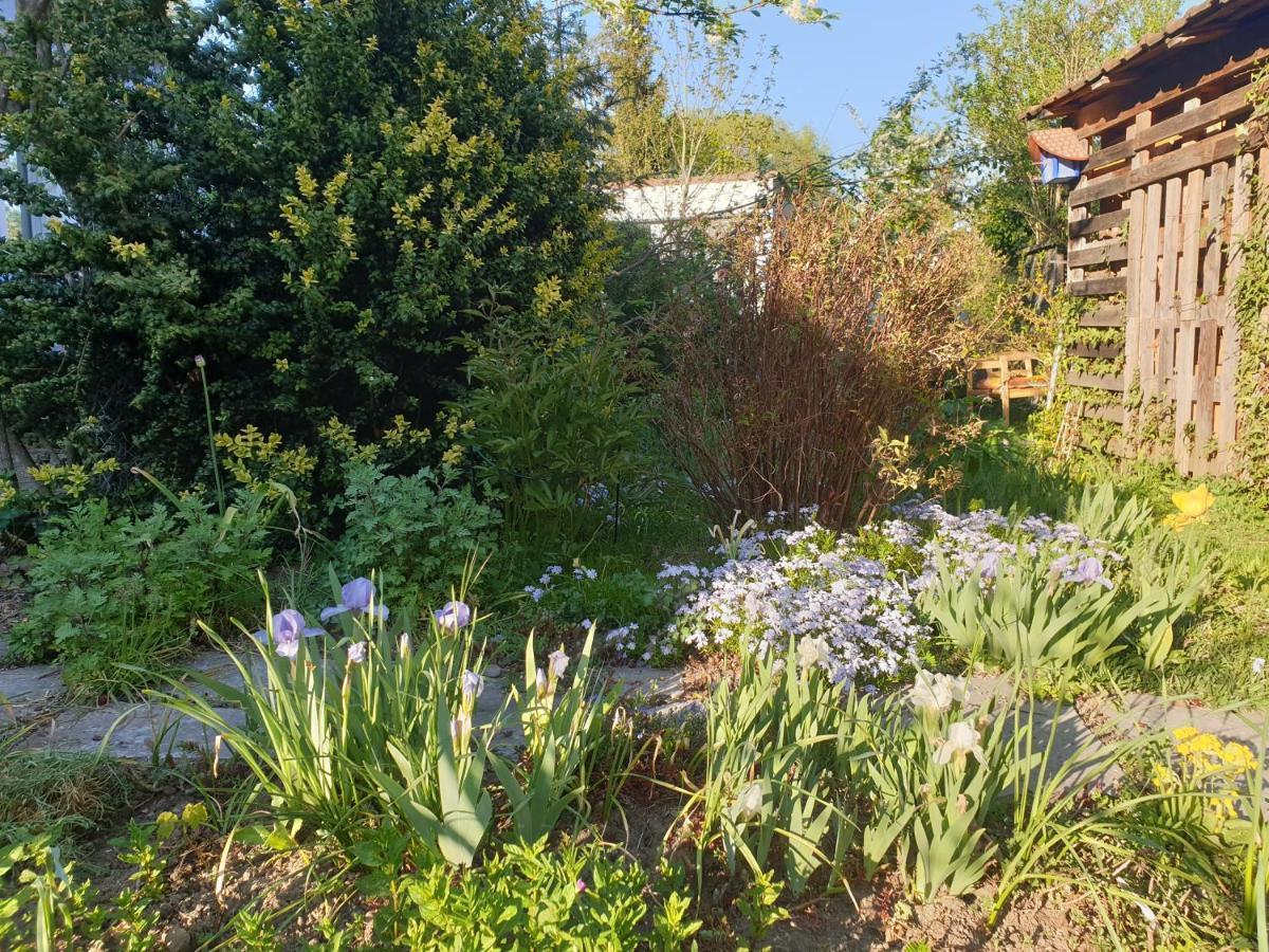Unser Obervolkacher Ferienhaus-Einfach Gemutlich! エクステリア 写真
