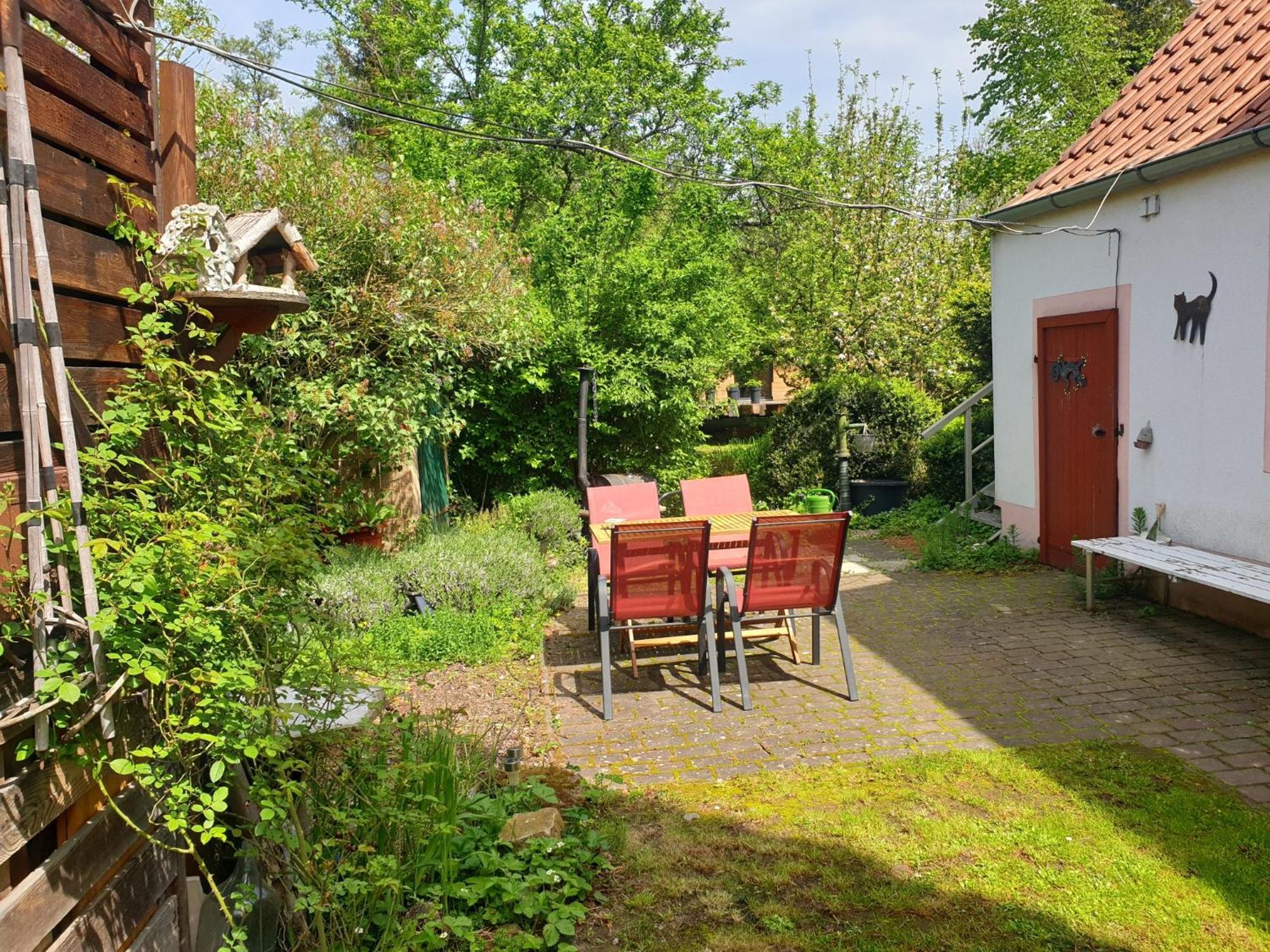 Unser Obervolkacher Ferienhaus-Einfach Gemutlich! エクステリア 写真